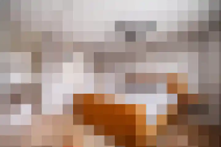 Machteld van Brabantplaats 7 Leiderdorp thumbnail 35