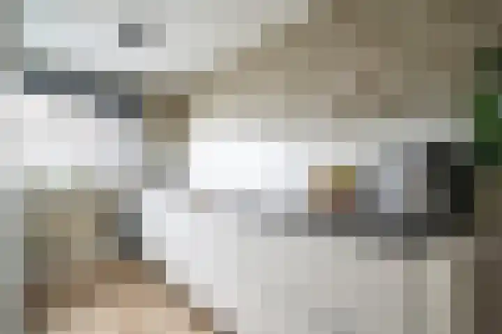 Machteld van Brabantplaats 7 Leiderdorp thumbnail 6