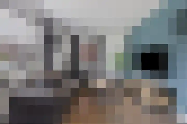 Machteld van Gelrestraat 48 Tholen thumbnail 10