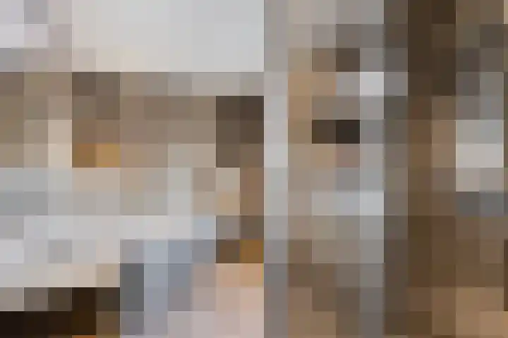 Machteld van Gelrestraat 48 Tholen thumbnail 30