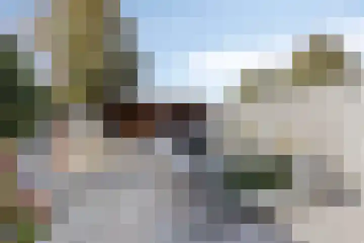 Machteld van Gelrestraat 48 Tholen thumbnail 40