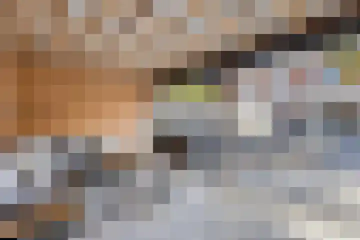 Machteld van Gelrestraat 48 Tholen thumbnail 42