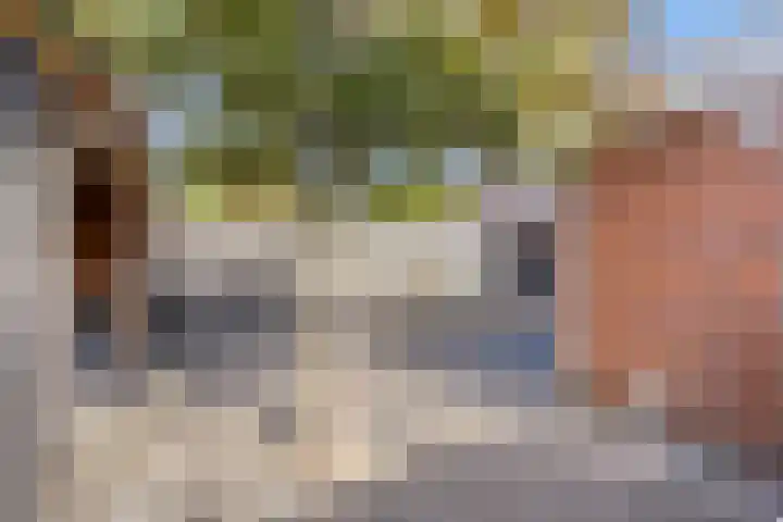 Machteld van Gelrestraat 48 Tholen thumbnail 43