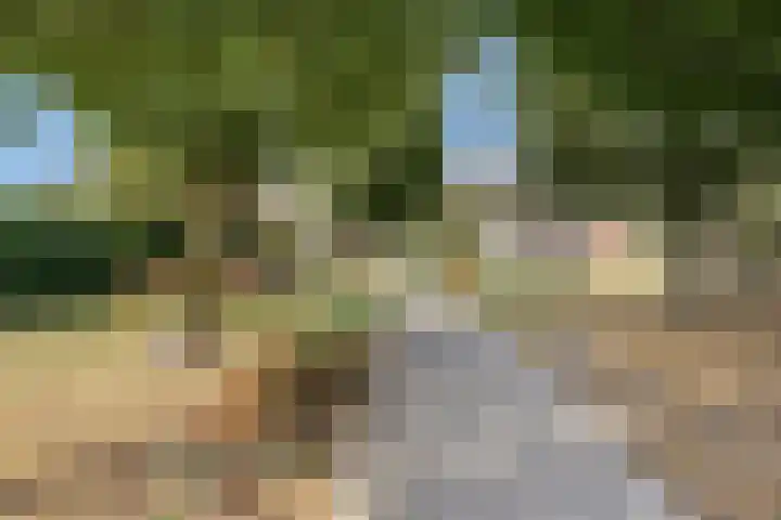 Machteld van Gelrestraat 48 Tholen thumbnail 52