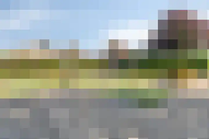 Machteld van Gelrestraat 48 Tholen thumbnail 53