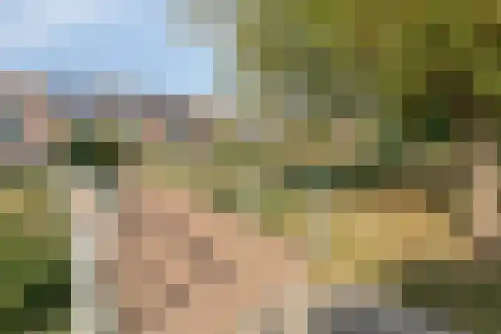 Machteld van Gelrestraat 48 Tholen thumbnail 54