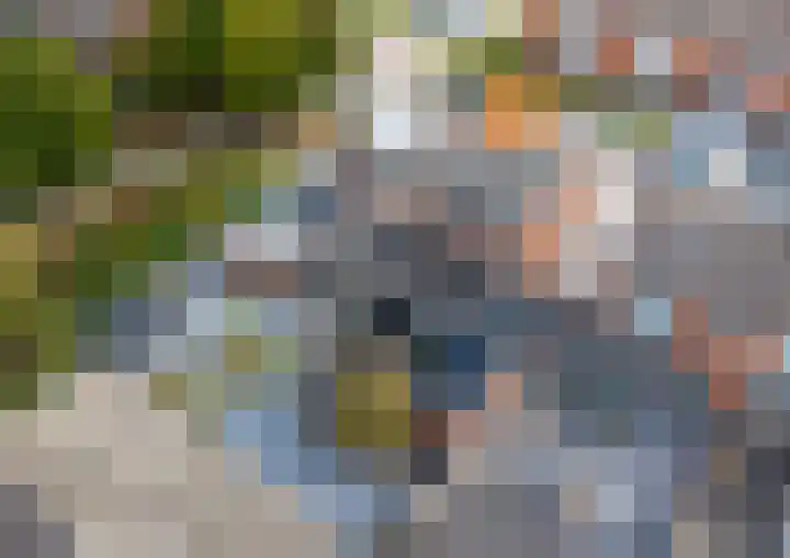 Machteld van Gelrestraat 48 Tholen thumbnail 6