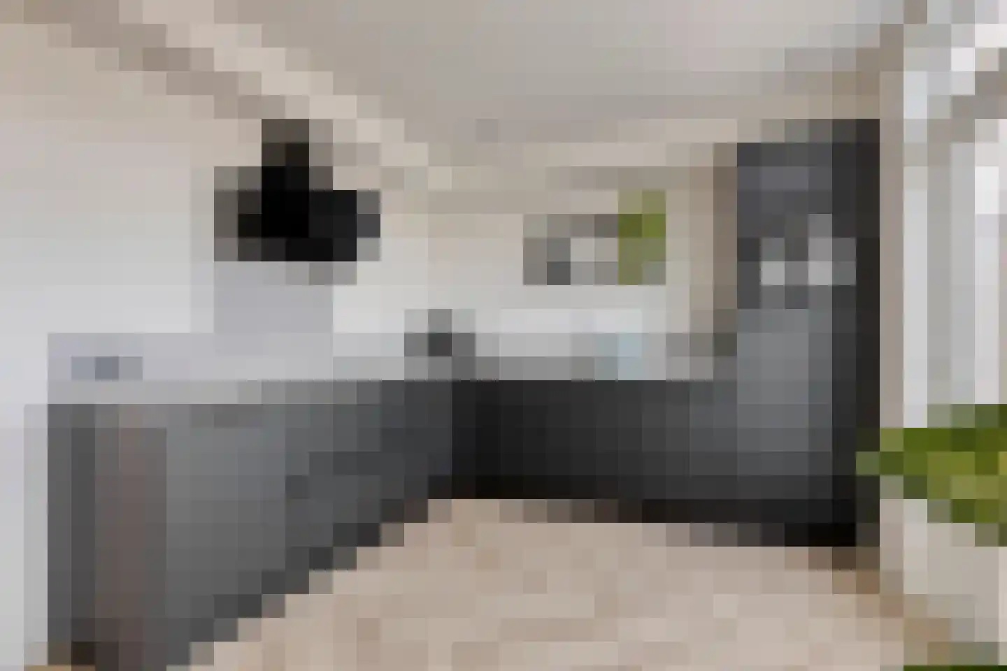 Machteld van Gelrestraat 50 Tholen thumbnail 20