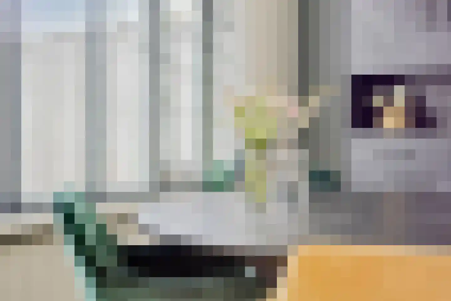 Machteld van Gelrestraat 50 Tholen thumbnail 26