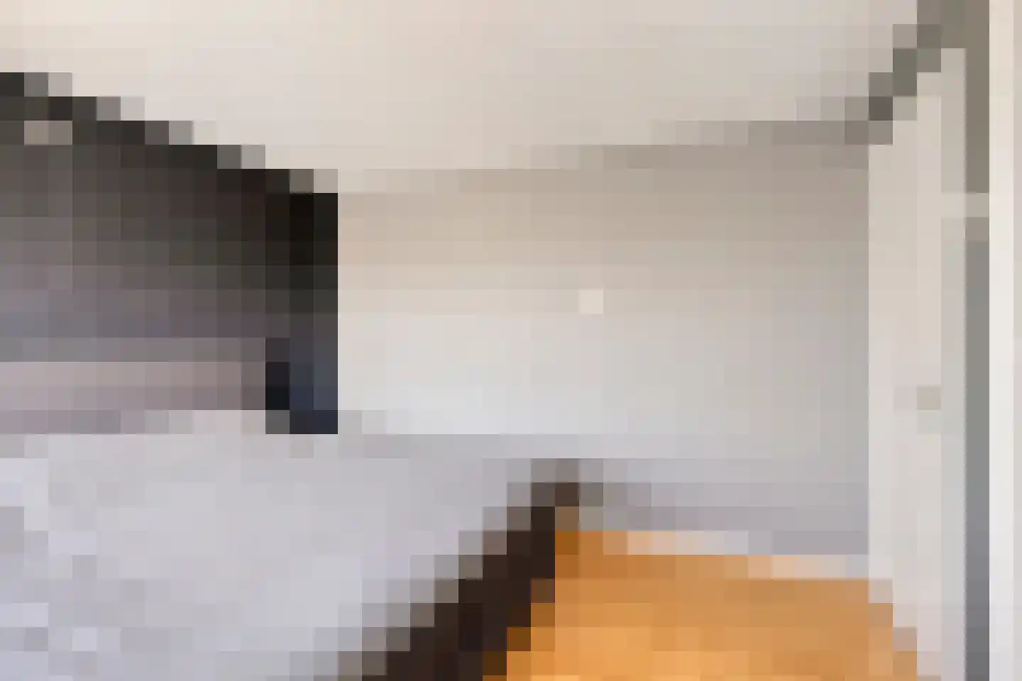 Machteld van Gelrestraat 50 Tholen thumbnail 30
