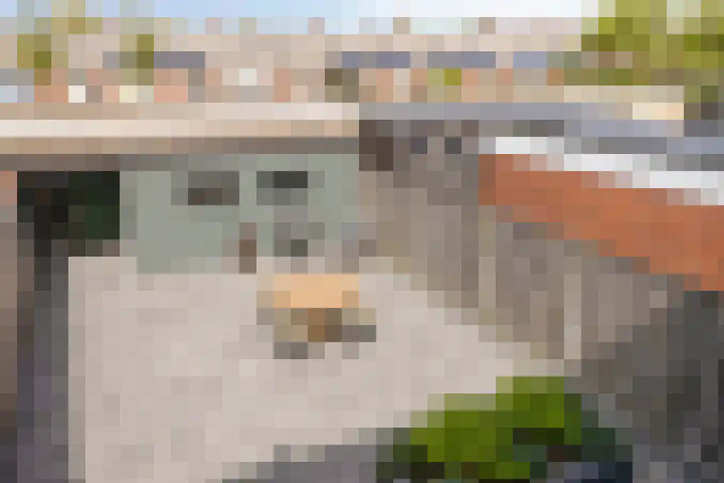 Machteld van Gelrestraat 50 Tholen thumbnail 32
