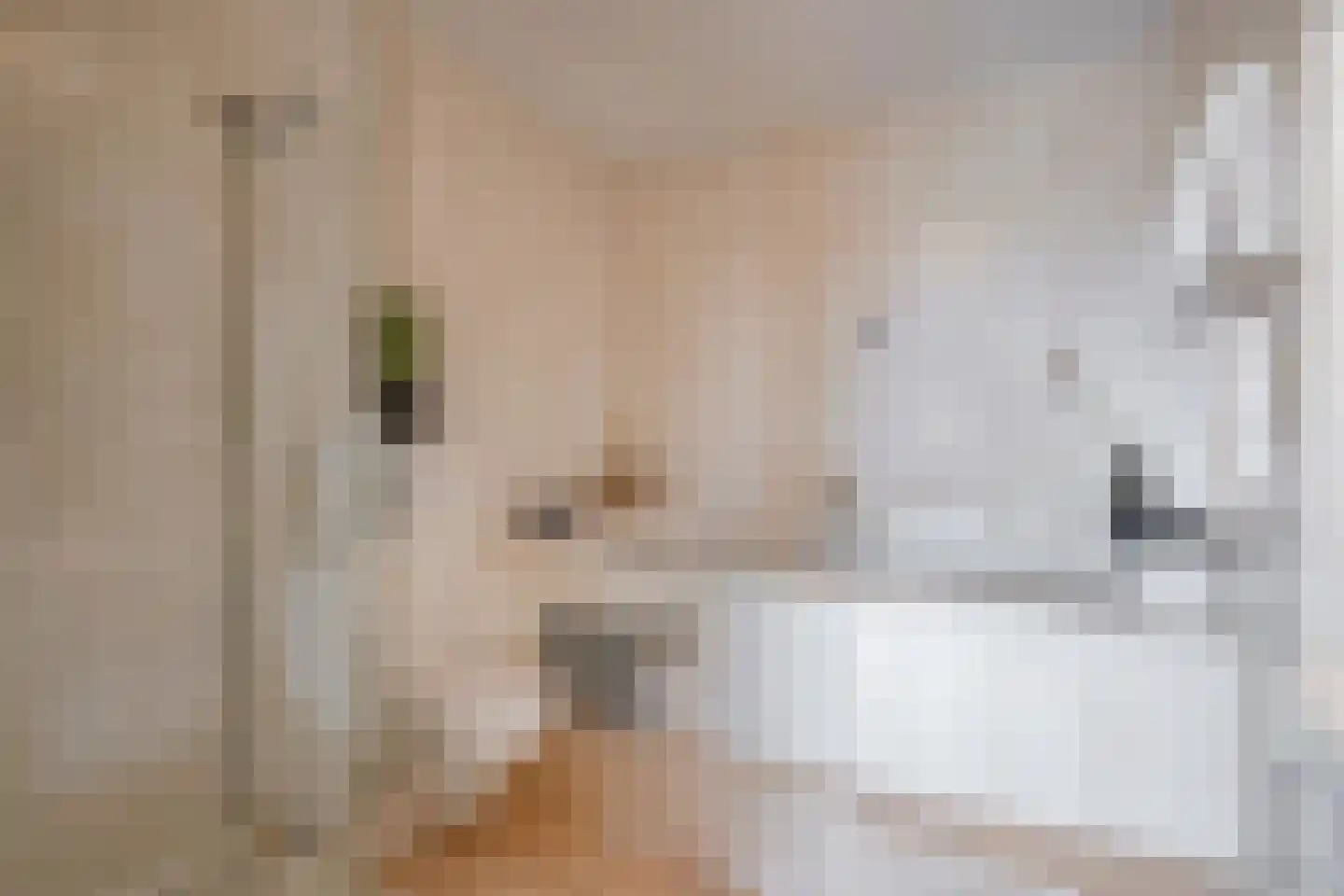 Machteld van Meterenlaan 115 Delft thumbnail 32