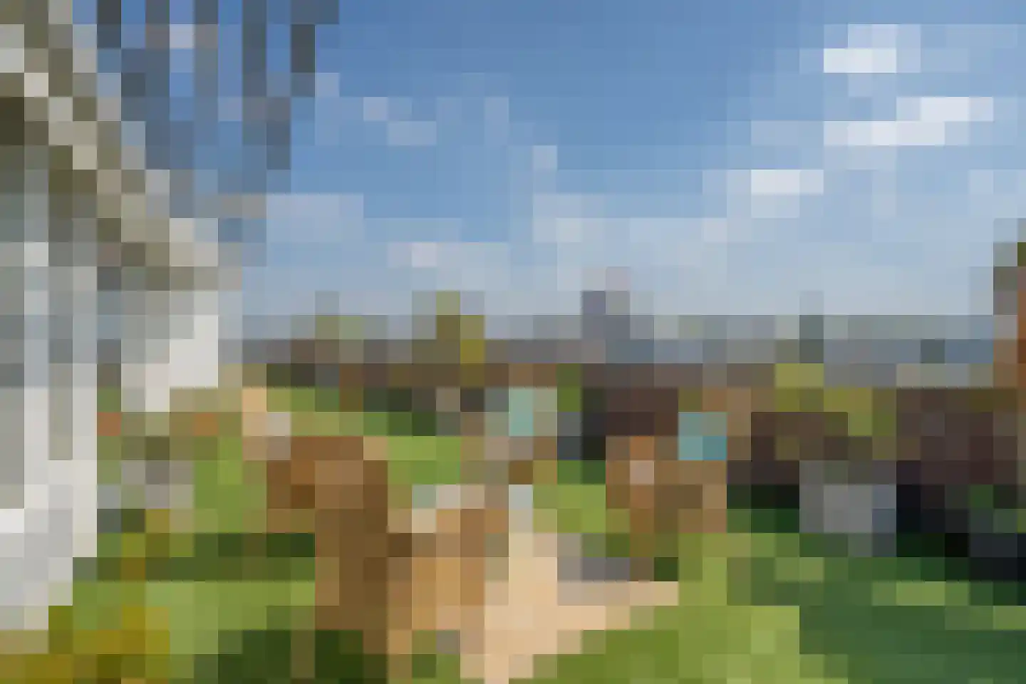Machteld van Meterenlaan 115 Delft thumbnail 4