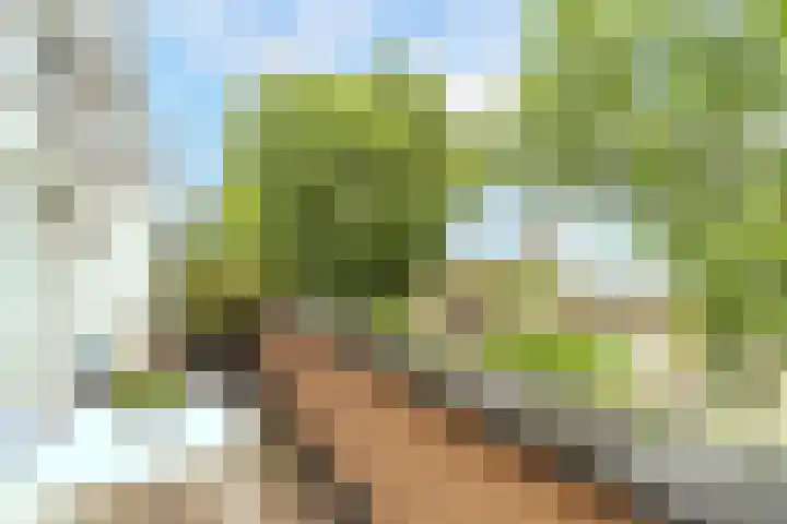 Machteld van Meterenlaan 71 Delft thumbnail 16