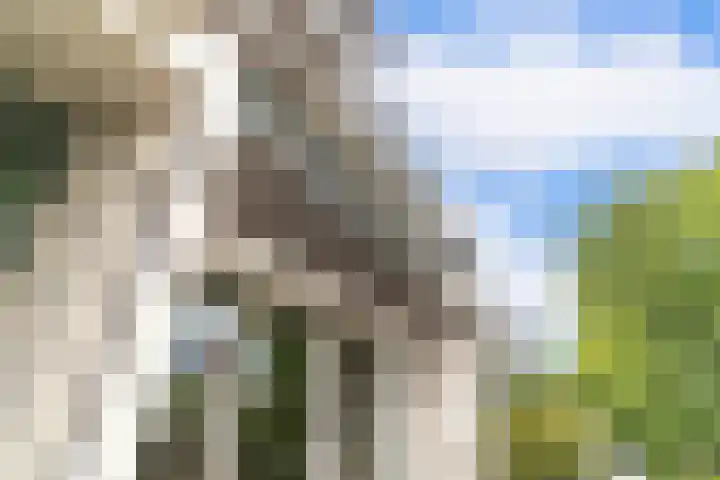Machteld van Meterenlaan 71 Delft thumbnail 18