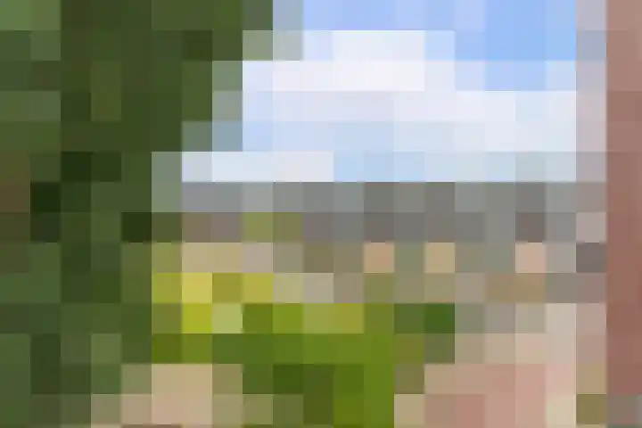 Machteld van Meterenlaan 71 Delft thumbnail 20