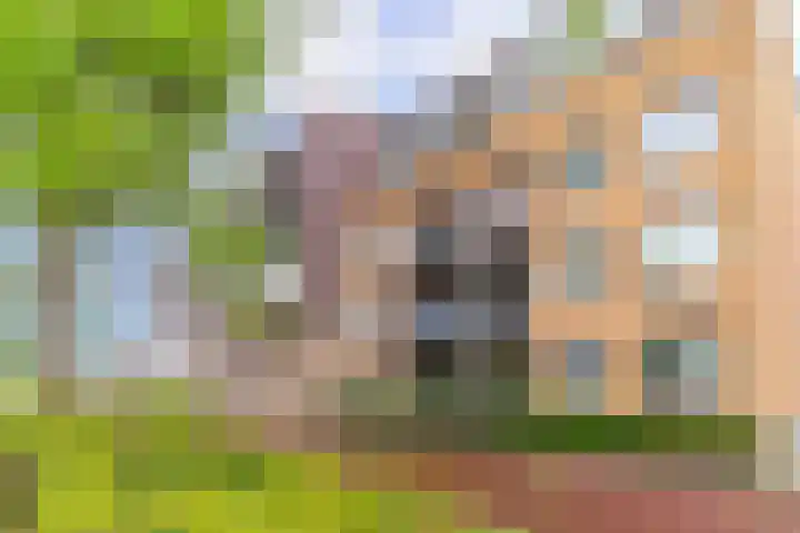 Machteld van Meterenlaan 71 Delft thumbnail 64