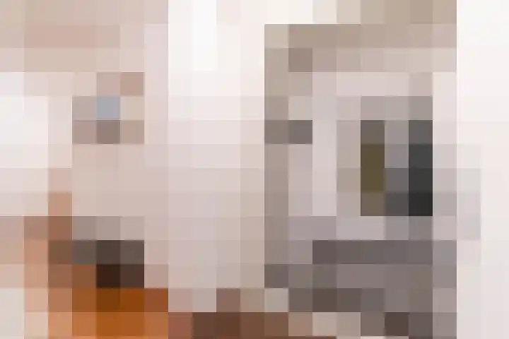 Machteld van Meterenlaan 71 Delft thumbnail 7