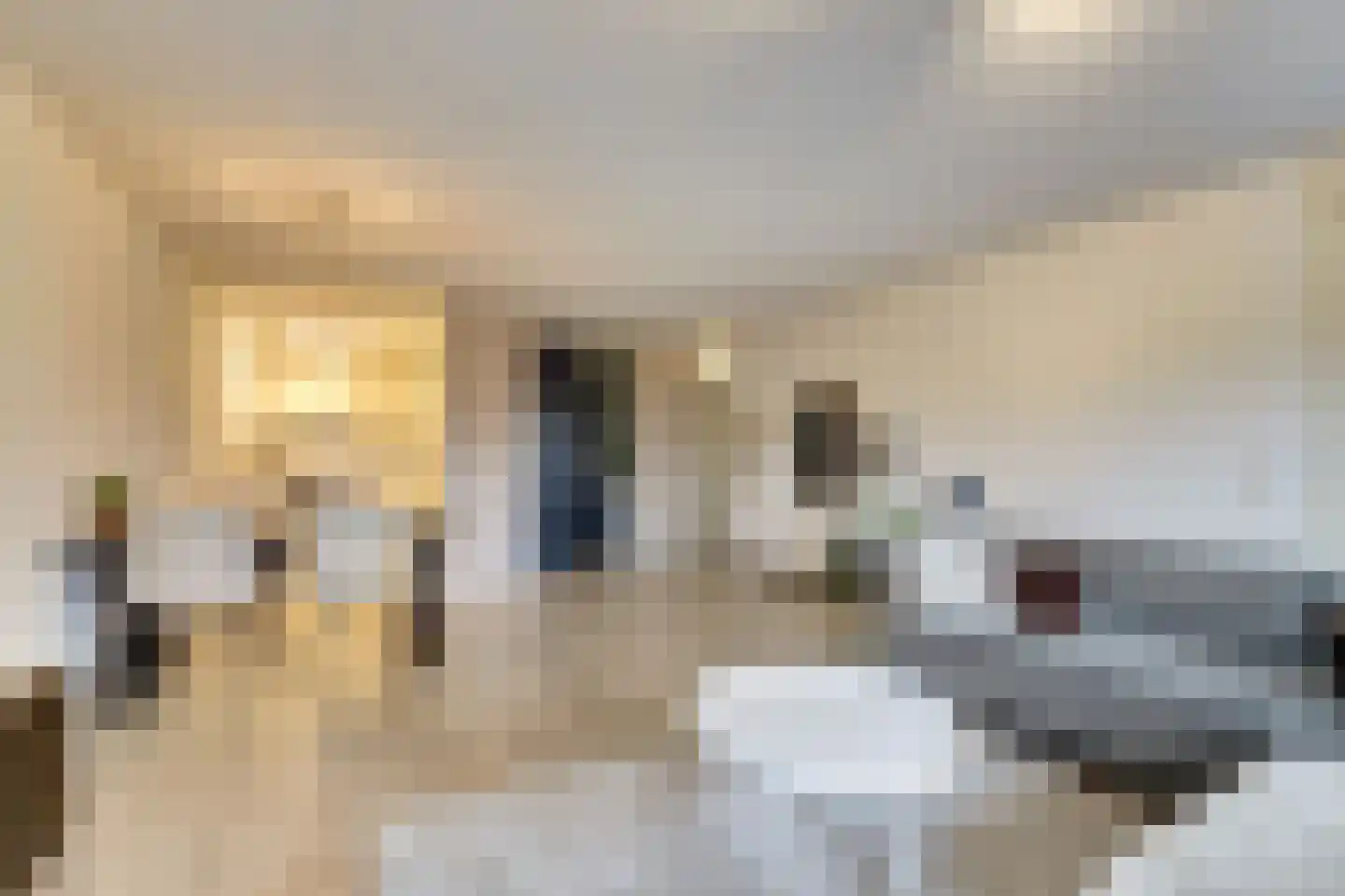 Machteld van Meterenlaan 79 Delft thumbnail 20