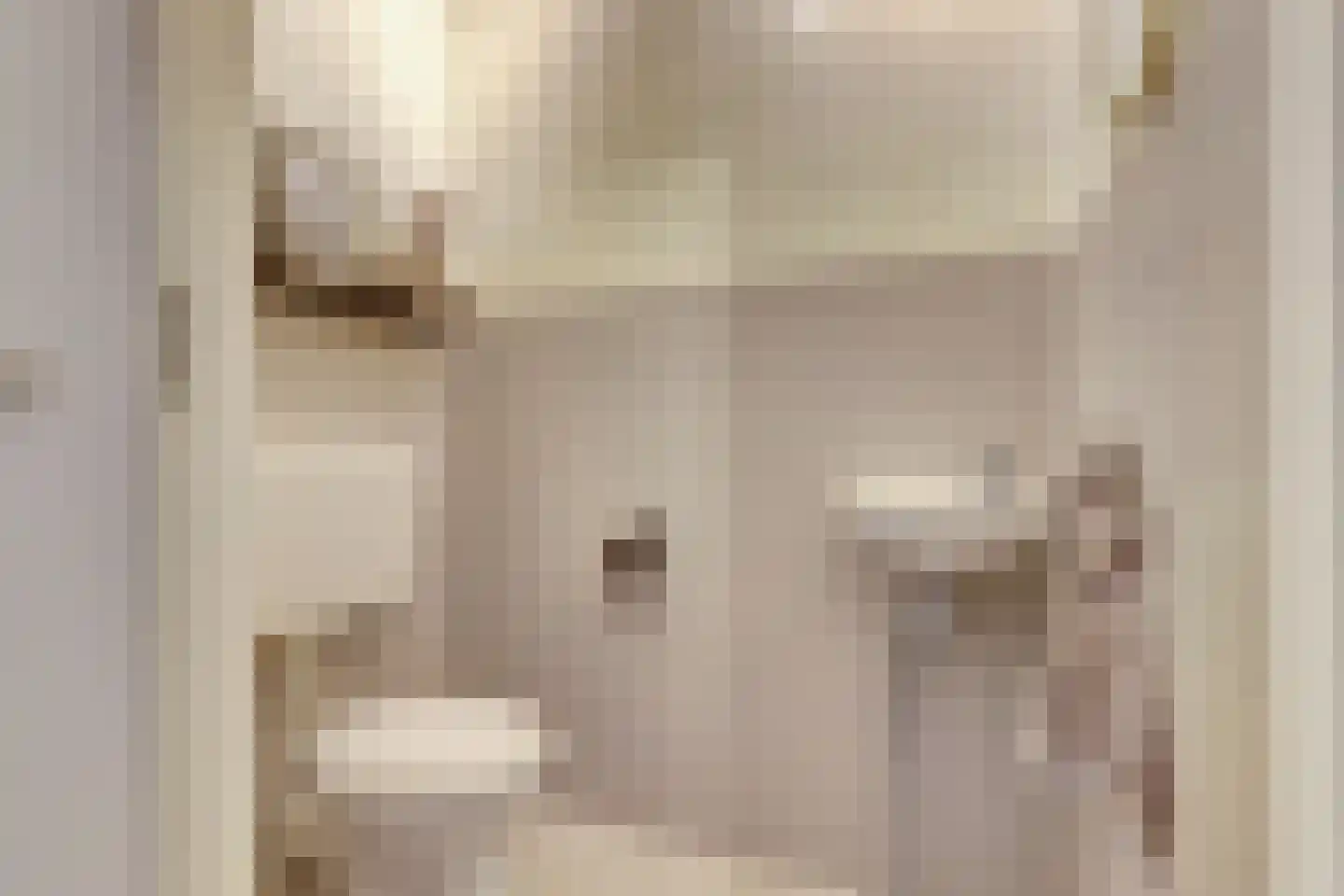 Machteld van Meterenlaan 79 Delft thumbnail 33