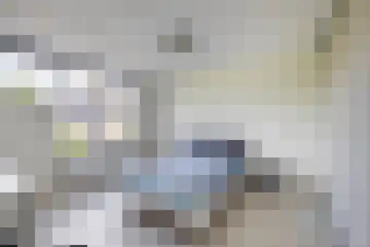 Machtelderf 16 Waddinxveen thumbnail 16