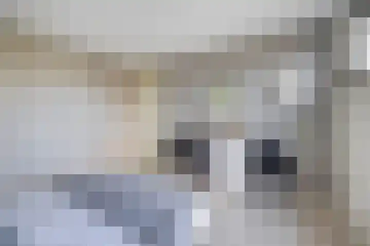Machtelderf 16 Waddinxveen thumbnail 17