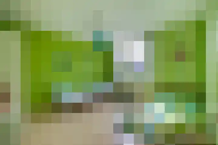 Machtelderf 16 Waddinxveen thumbnail 18