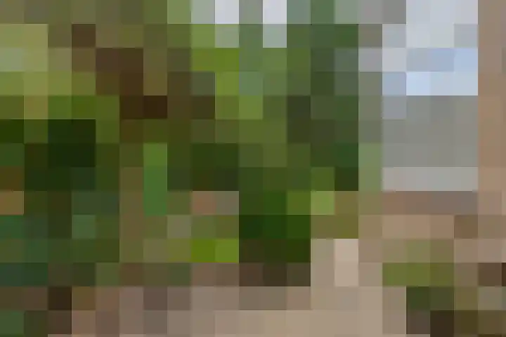 Machtelderf 16 Waddinxveen thumbnail 25