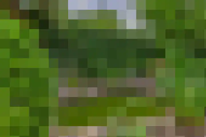 Machtelderf 16 Waddinxveen thumbnail 26