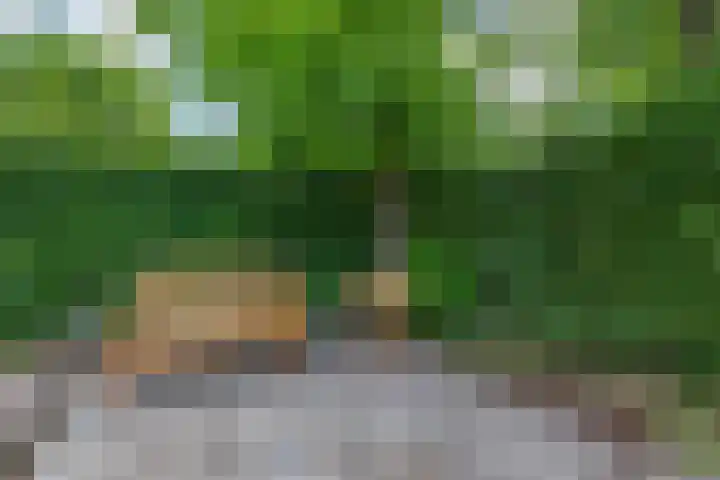 Machtelderf 16 Waddinxveen thumbnail 28