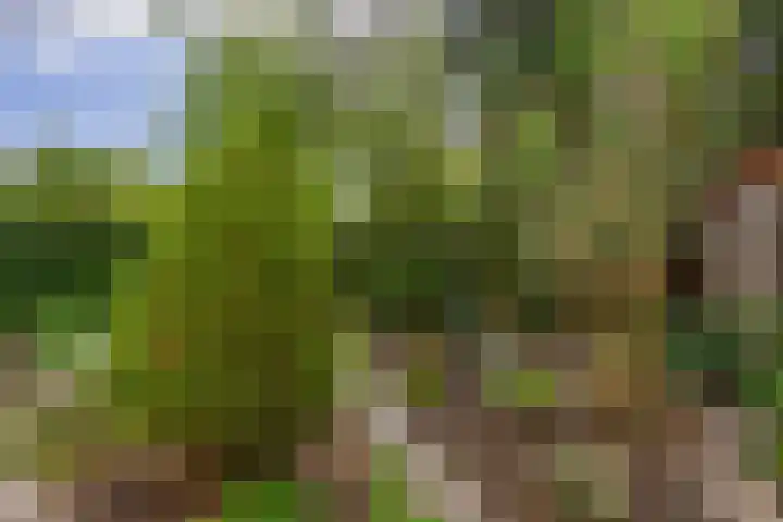 Machtelderf 16 Waddinxveen thumbnail 29