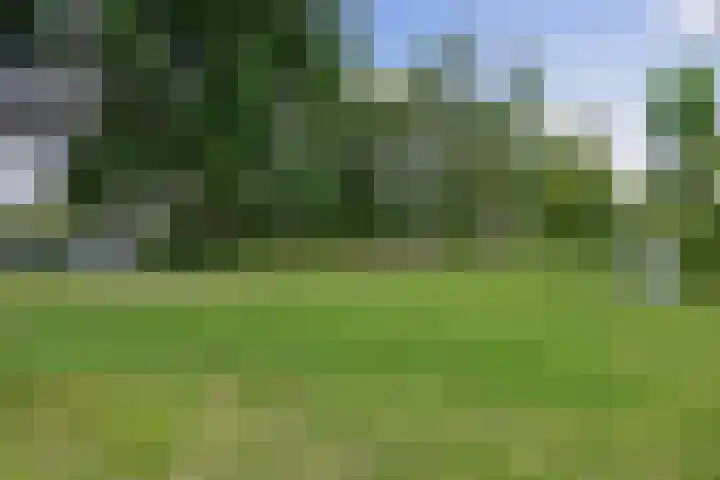 Machtelderf 16 Waddinxveen thumbnail 34