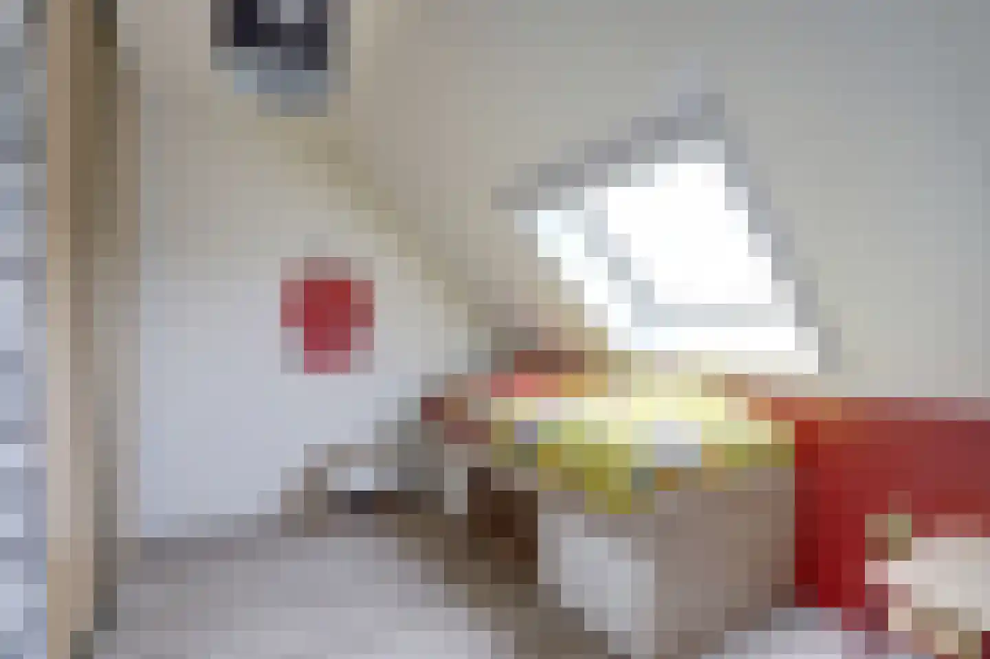 Machtelderf 7 Waddinxveen thumbnail 34