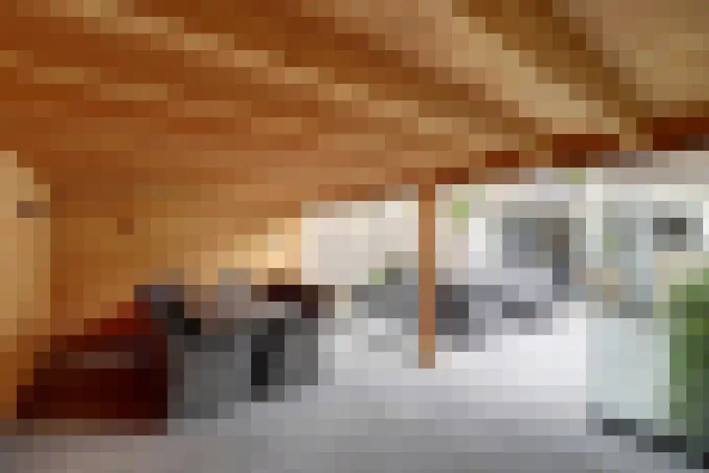 Machtelderf 7 Waddinxveen thumbnail 41