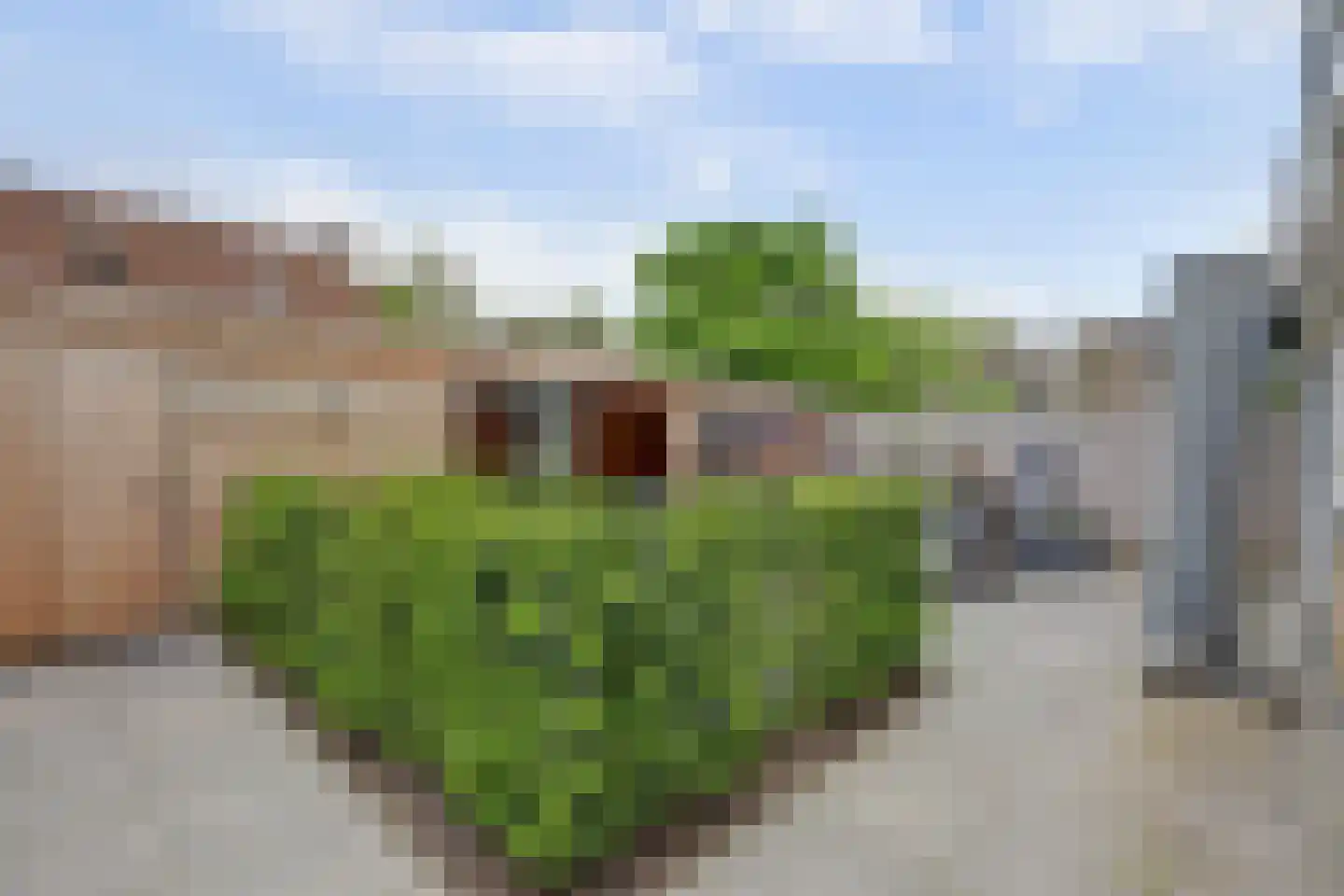 Machtelderf 7 Waddinxveen thumbnail 45