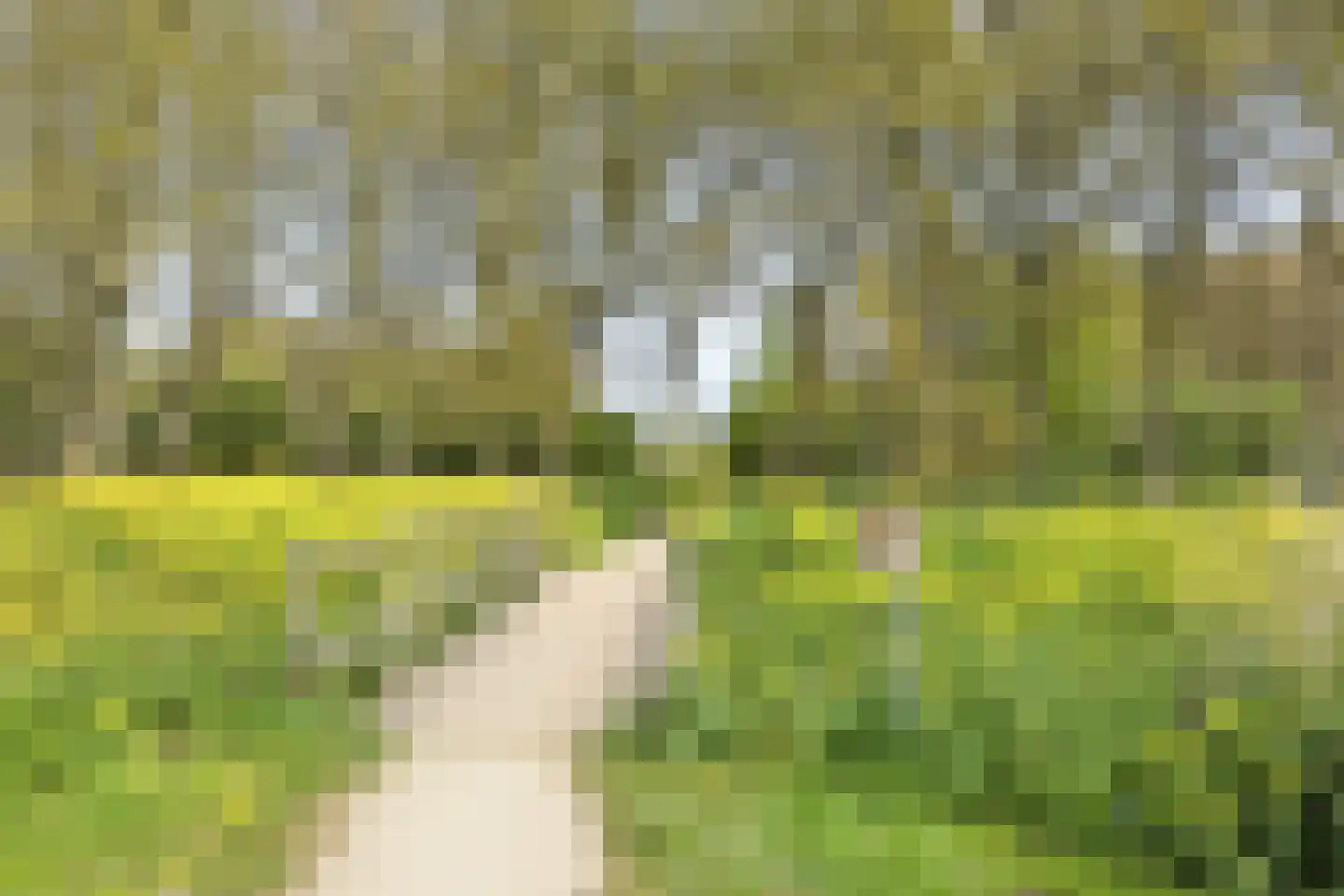 Machtelderf 7 Waddinxveen thumbnail 49