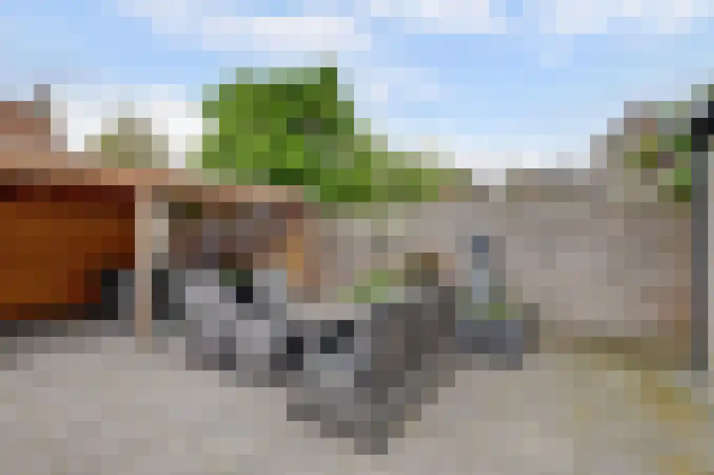 Machtelderf 7 Waddinxveen thumbnail 5