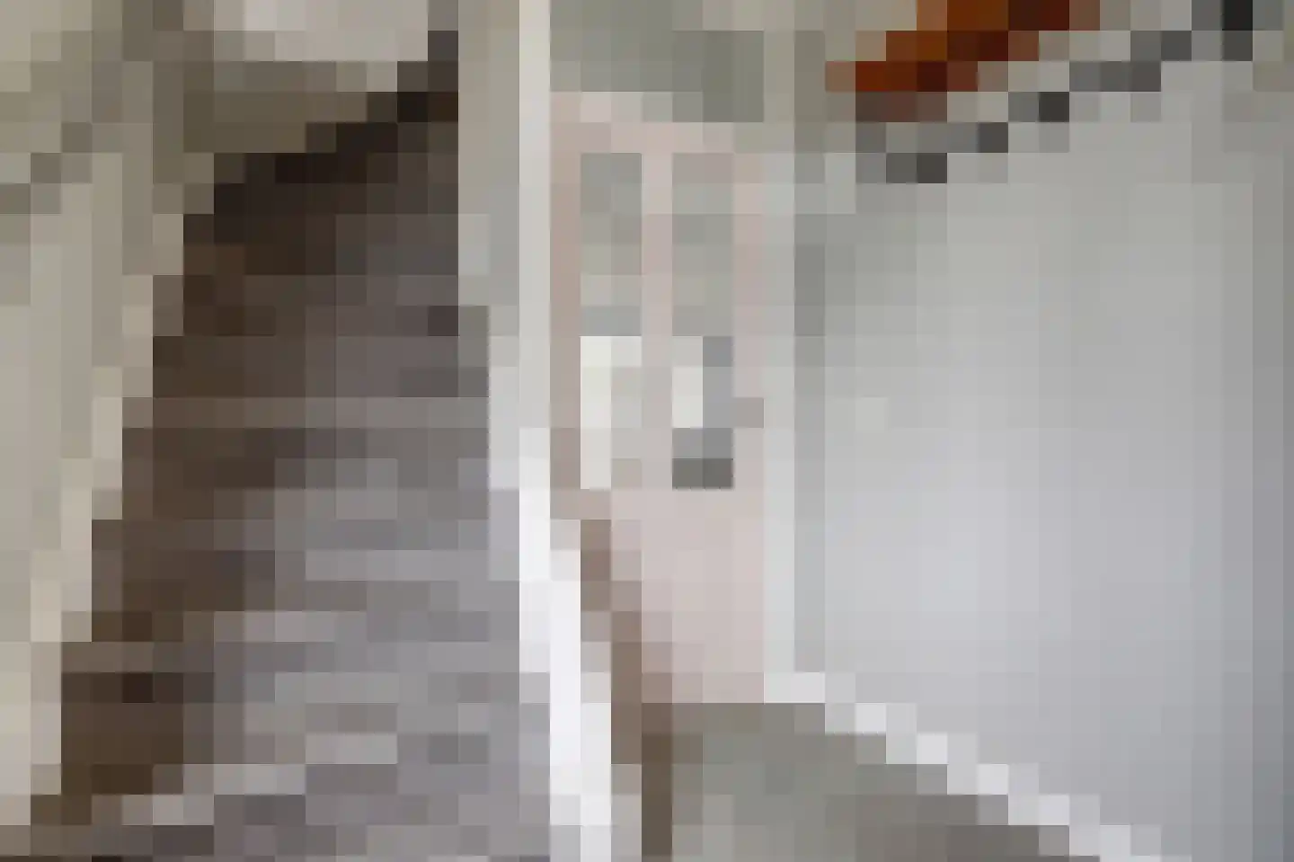 Machtelderf 7 Waddinxveen thumbnail 8