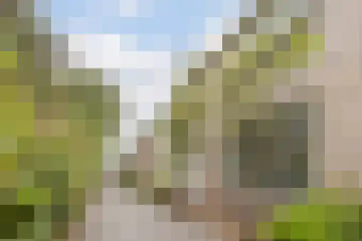 Mackayhof 11 Rijen thumbnail 10