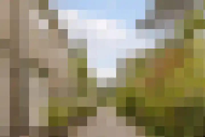Mackayhof 11 Rijen thumbnail 11