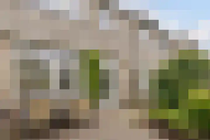 Mackayhof 11 Rijen thumbnail 27
