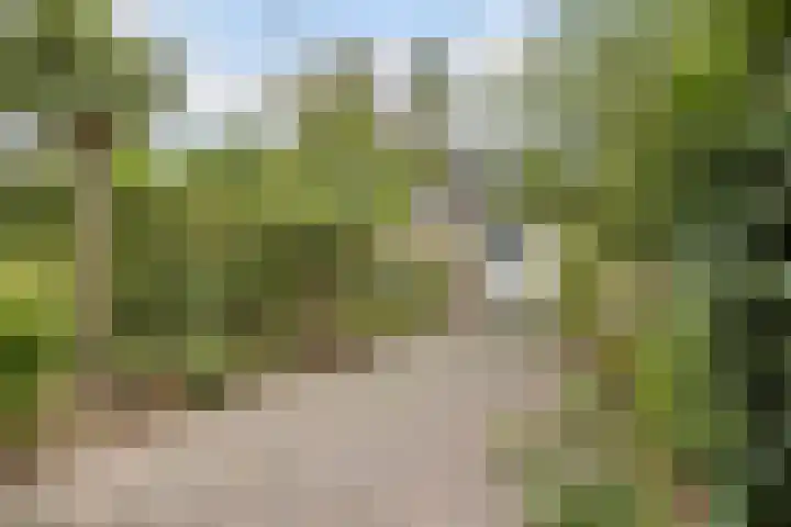 Mackayhof 11 Rijen thumbnail 28