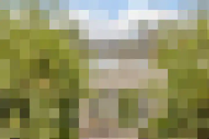 Mackayhof 11 Rijen thumbnail 30