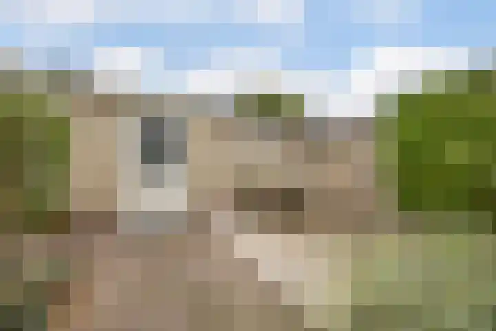 Mackayhof 11 Rijen thumbnail 31