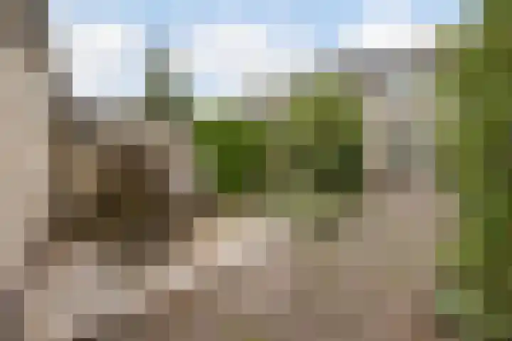 Mackayhof 11 Rijen thumbnail 32