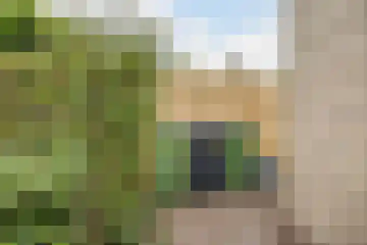 Mackayhof 11 Rijen thumbnail 33