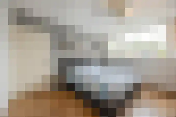 Mackayhof 11 Rijen thumbnail 4
