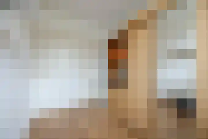 Mackayhof 11 Rijen thumbnail 42