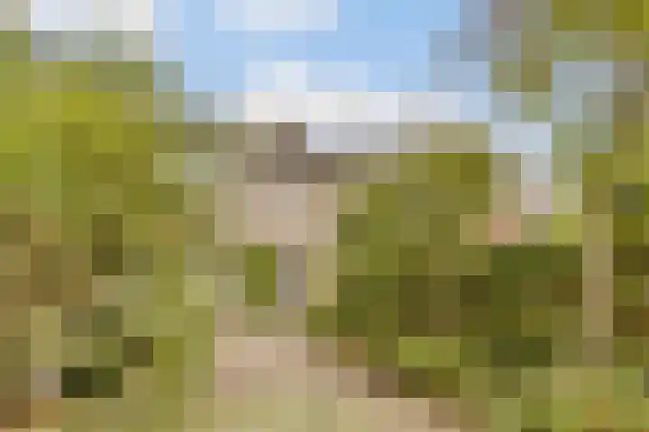 Mackayhof 11 Rijen thumbnail 5
