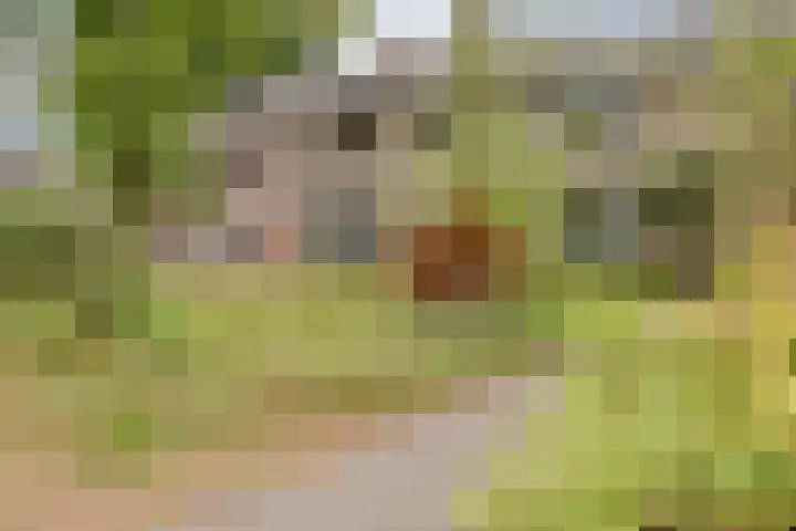 Mackayhof 11 Rijen thumbnail 51